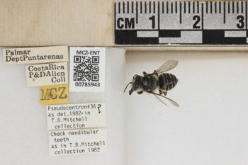 Media type: image;   Entomology 785943 Aspect: Labels
